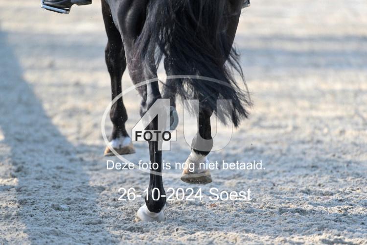 241026 1640