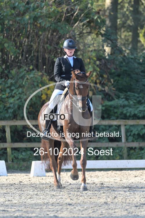 241026 1678