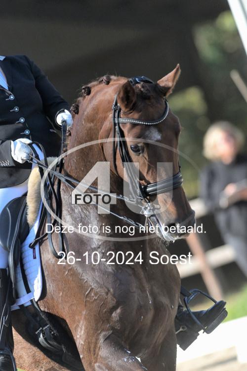 241026 1689