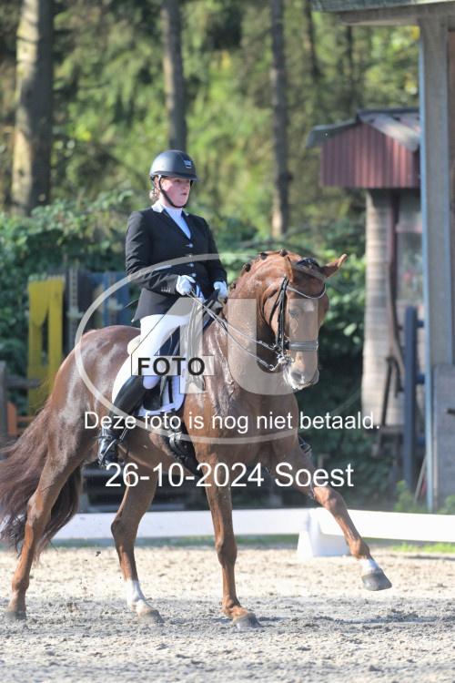 241026 1761