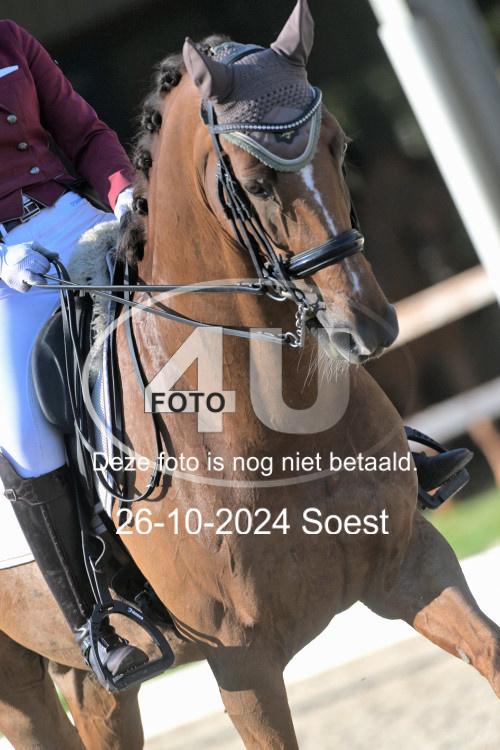 241026 1810