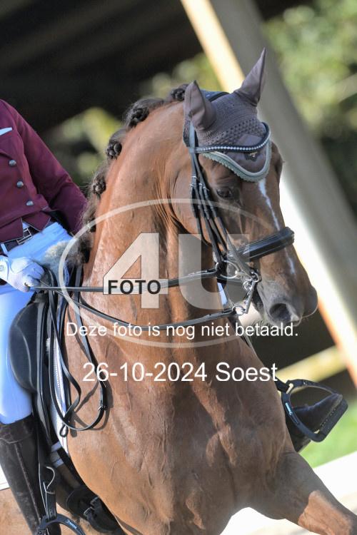 241026 1813