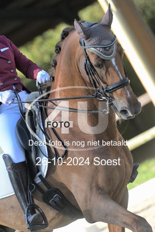 241026 1833