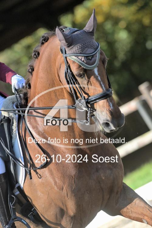 241026 1834