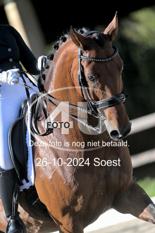 241026 1982