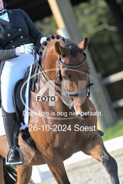241026 2021