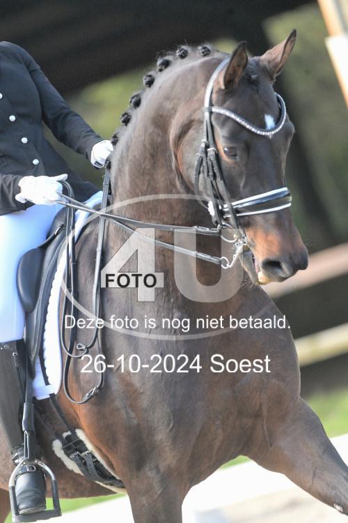 241026 2066