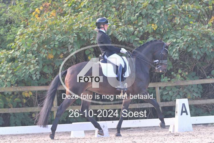 241026 2068