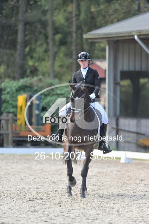 241026 2102