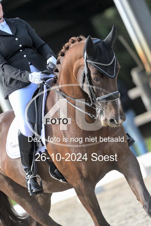 241026 2151
