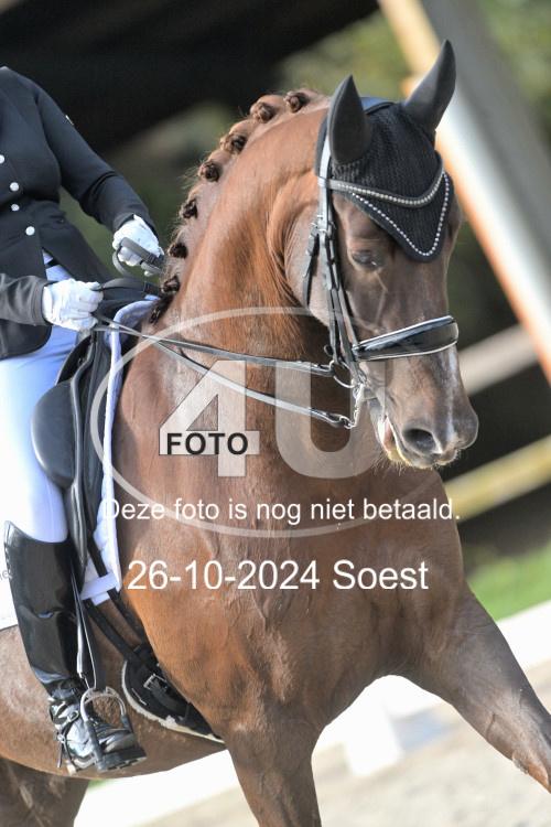 241026 2152