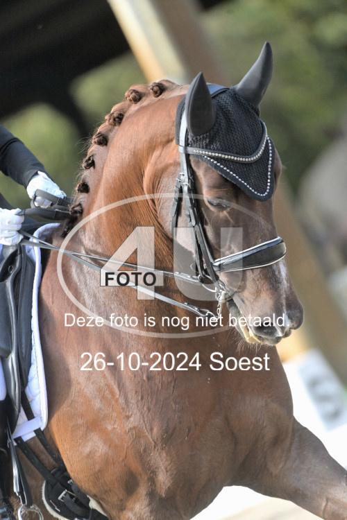 241026 2154