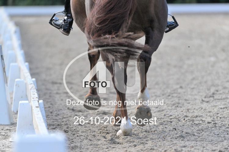 241026 2155