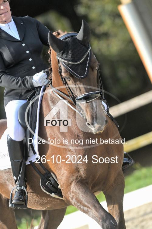 241026 2166