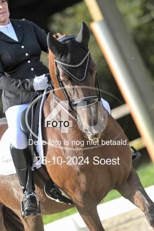 241026 2167