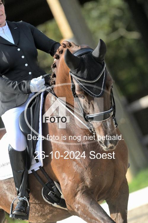 241026 2168