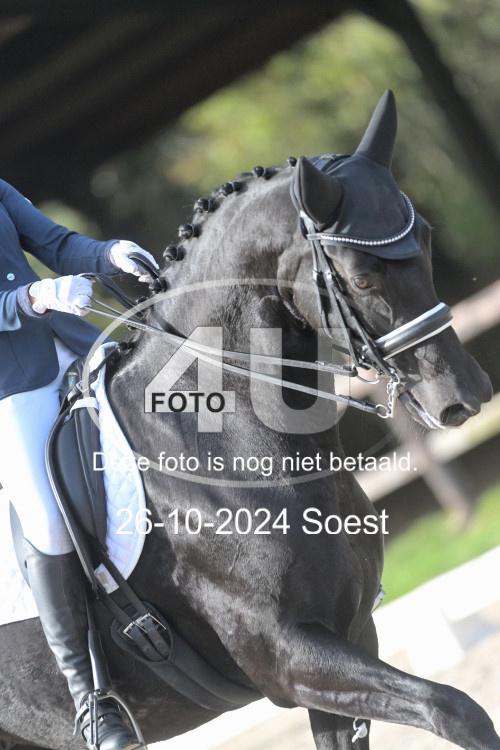 241026 2247