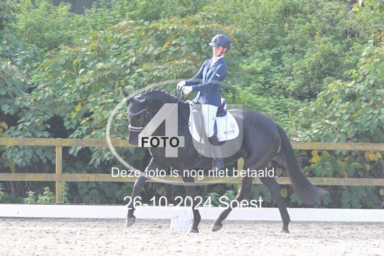 241026 2261