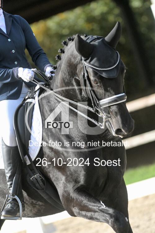 241026 2296