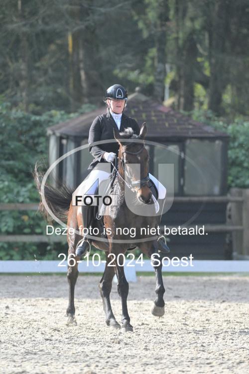 241026 2314