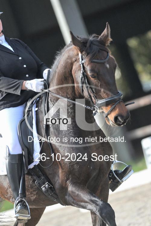 241026 2321