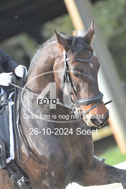 241026 2323