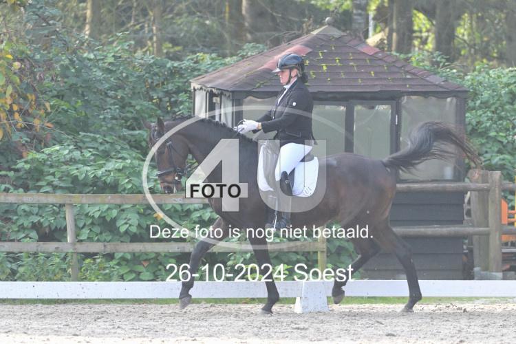 241026 2341