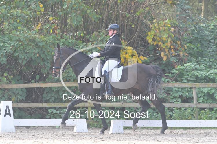 241026 2343