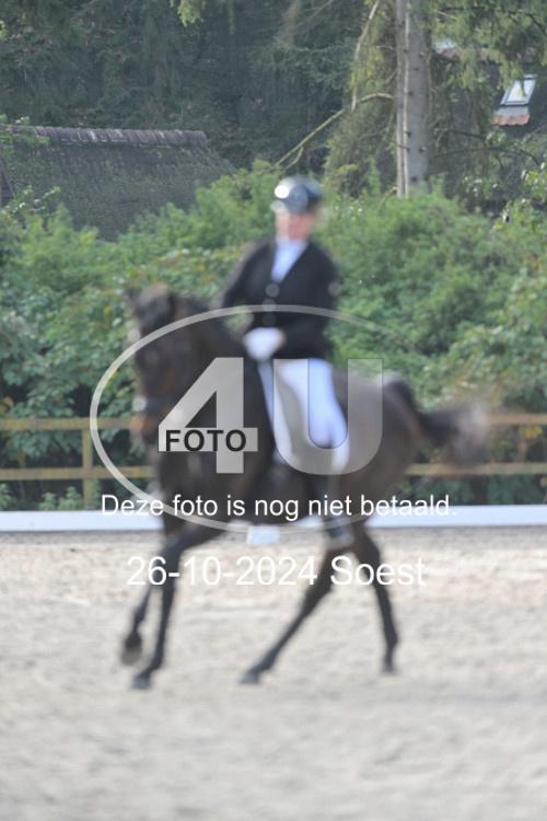 241026 2364