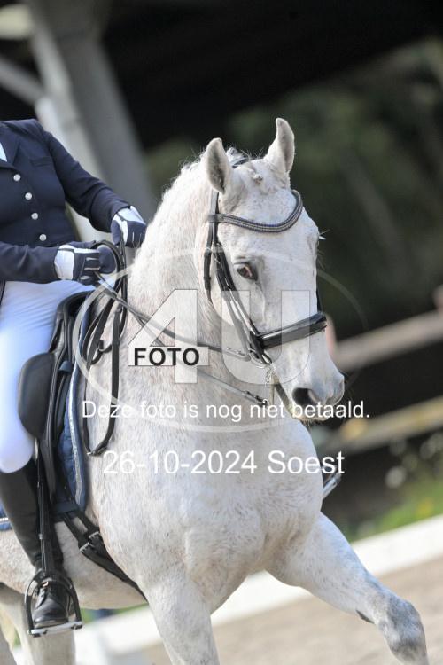 241026 2418