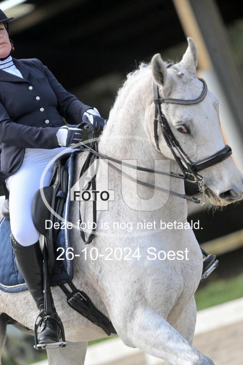 241026 2419
