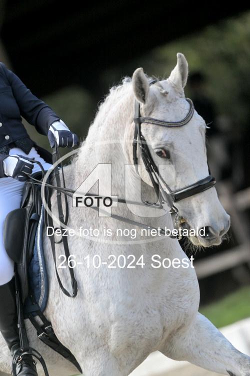 241026 2420