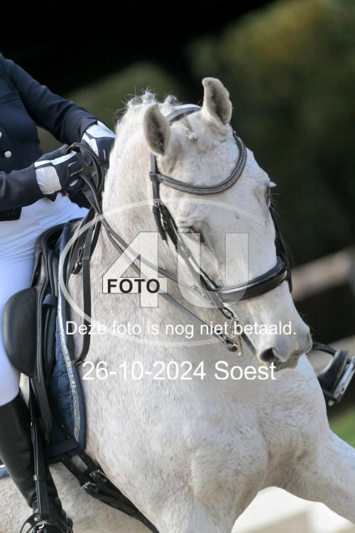 241026 2421