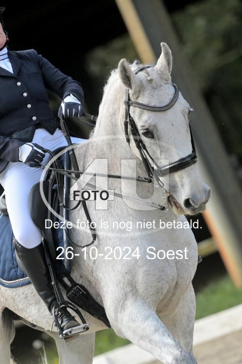 241026 2435