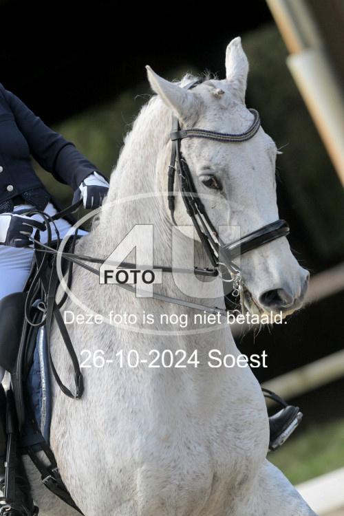 241026 2436