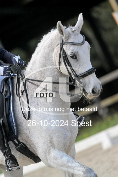 241026 2444