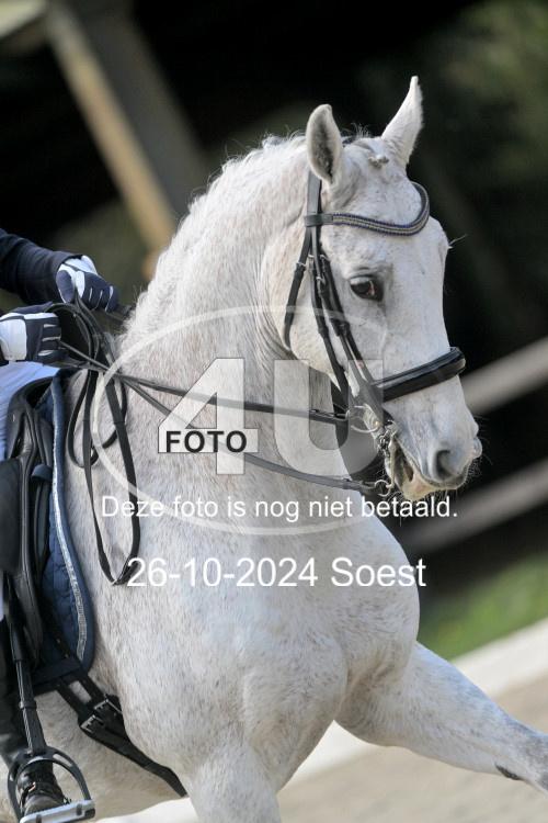 241026 2445