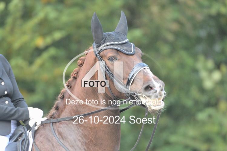 241026 2491