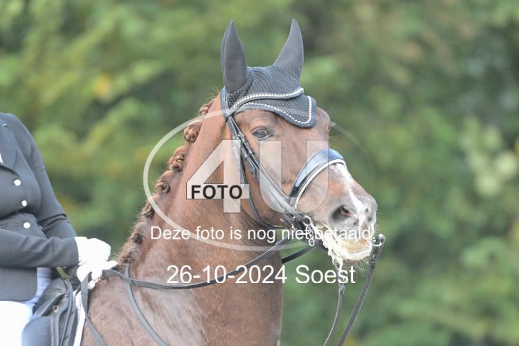 241026 2492