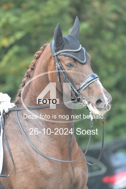 241026 2493