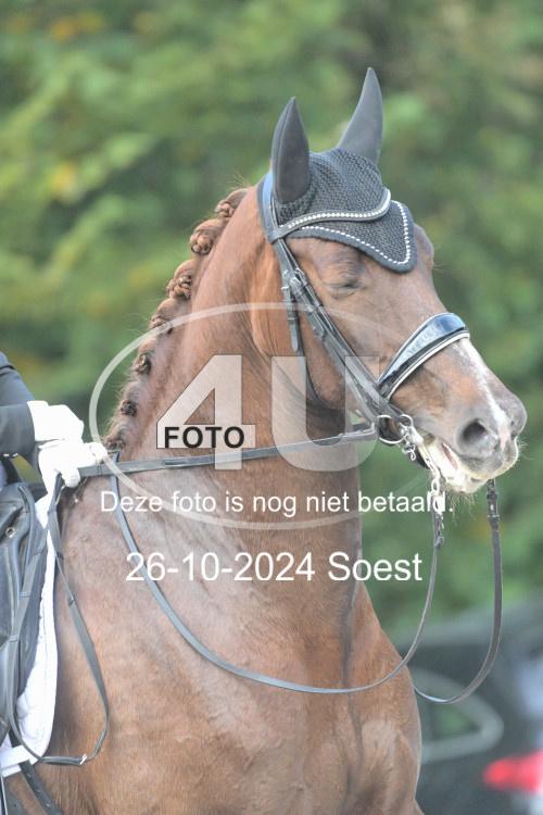 241026 2494