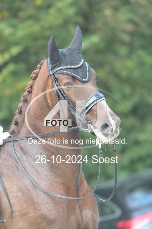 241026 2495