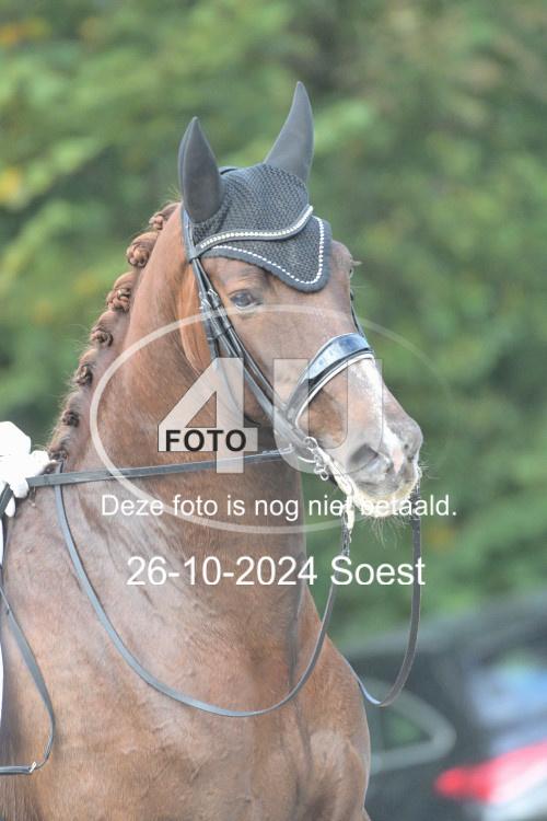 241026 2496