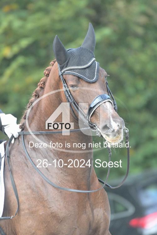 241026 2497