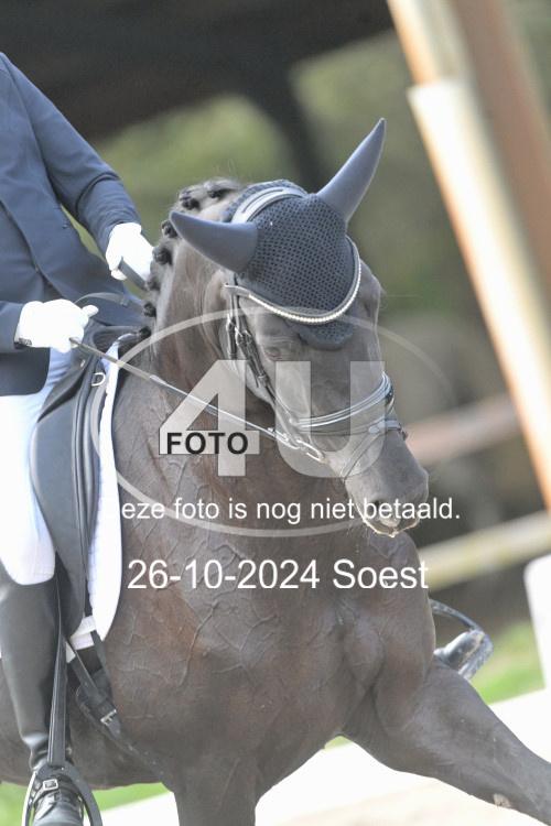 241026 2510