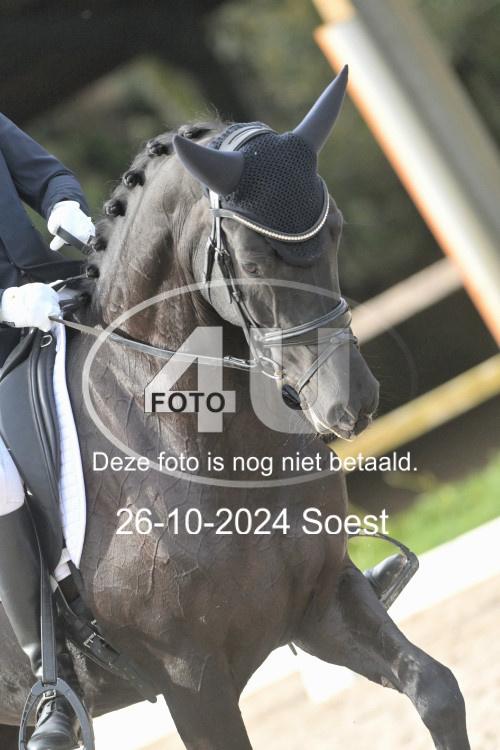241026 2523