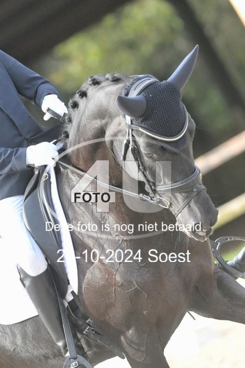 241026 2524