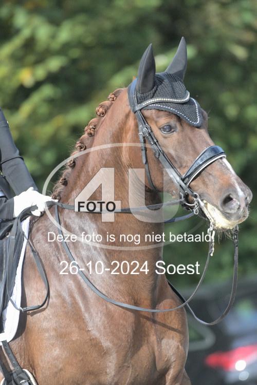 241026 2526