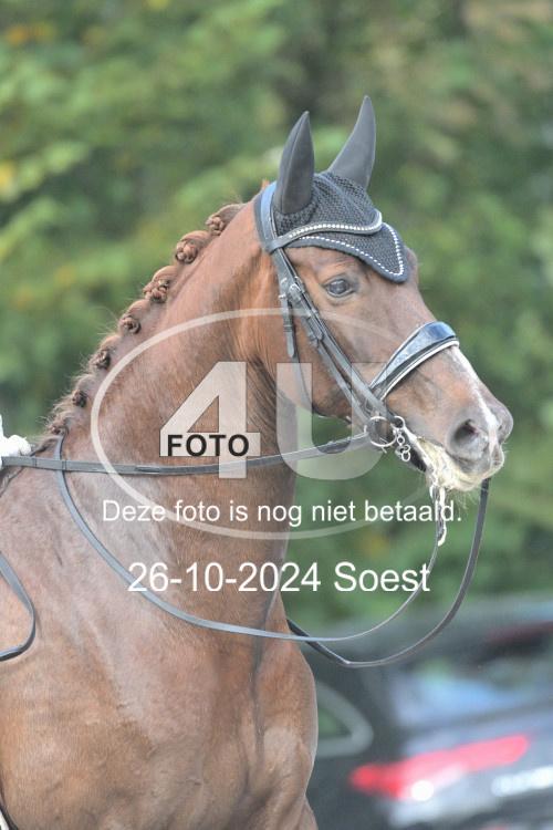 241026 2528