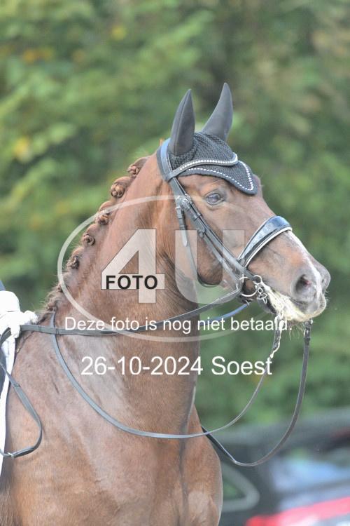 241026 2530